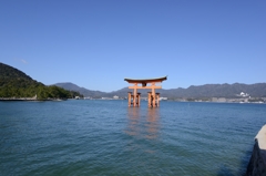 厳島神社　大鳥居