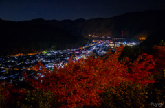 もみじと夜景