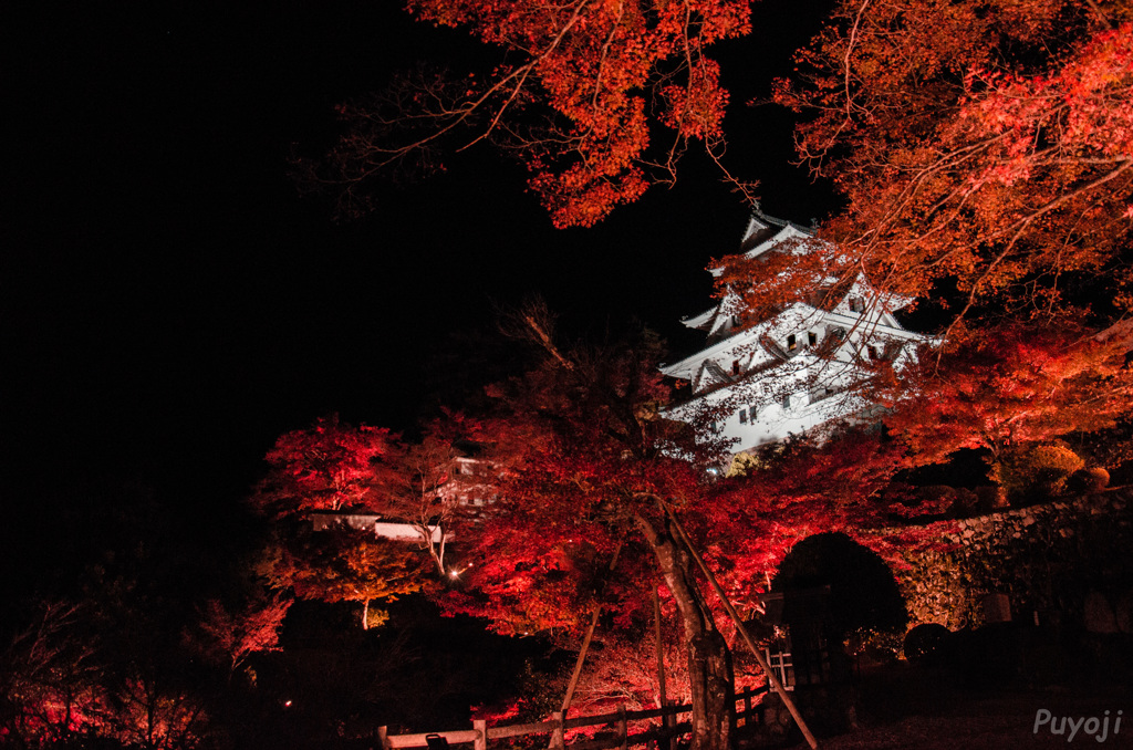 城炎上、、