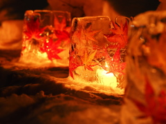 雪あかりの路　紅葉１