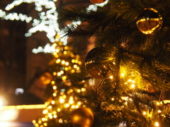クリスマスツリー３