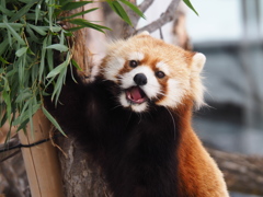 美味！