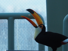 ぱくっ！