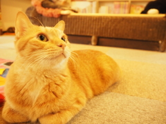 眼差し