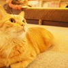 眼差し