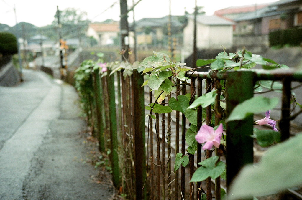 線路沿いの道