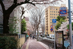 冷泉公園横にて