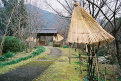 連なる傘