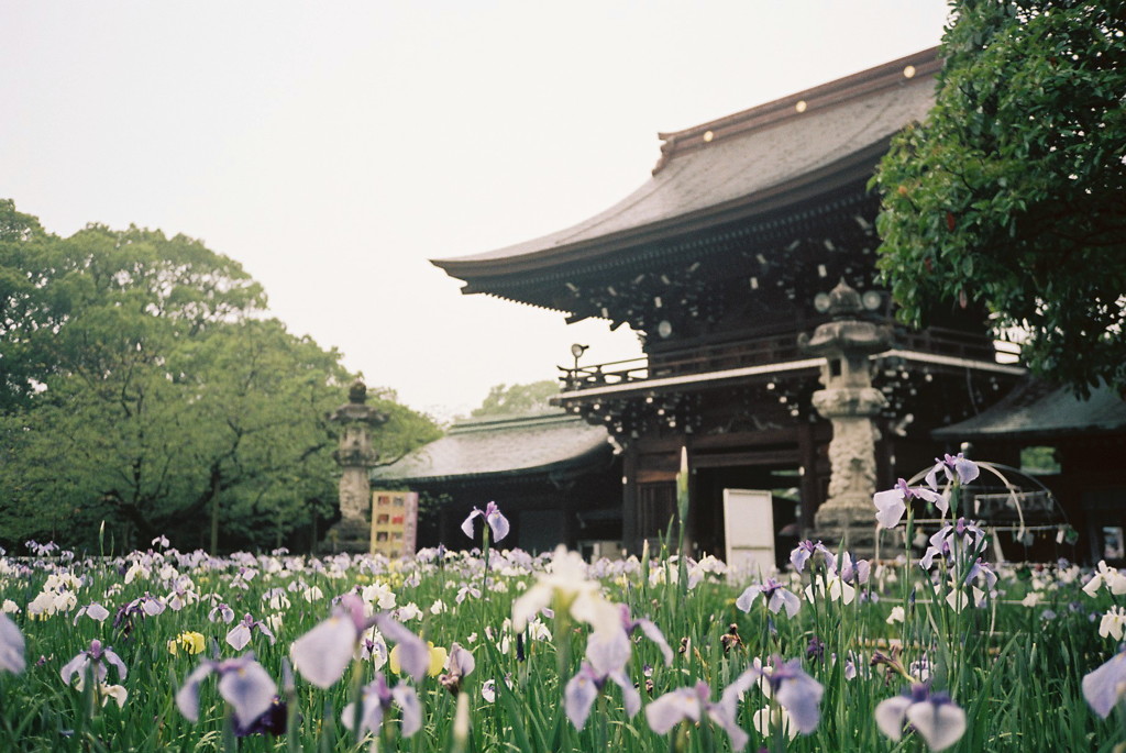 雨の空気