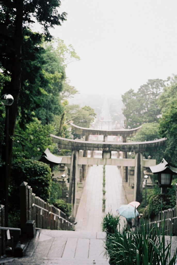 雨の路