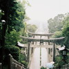 雨の路