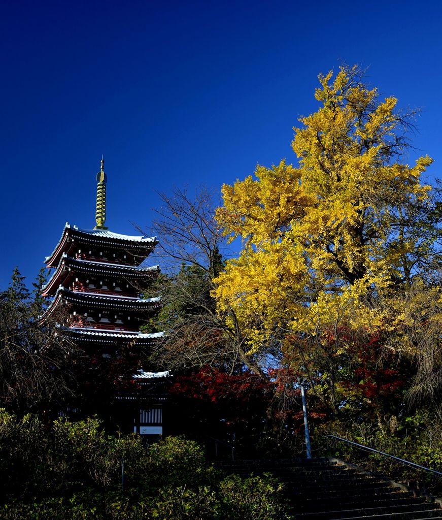 本土寺5