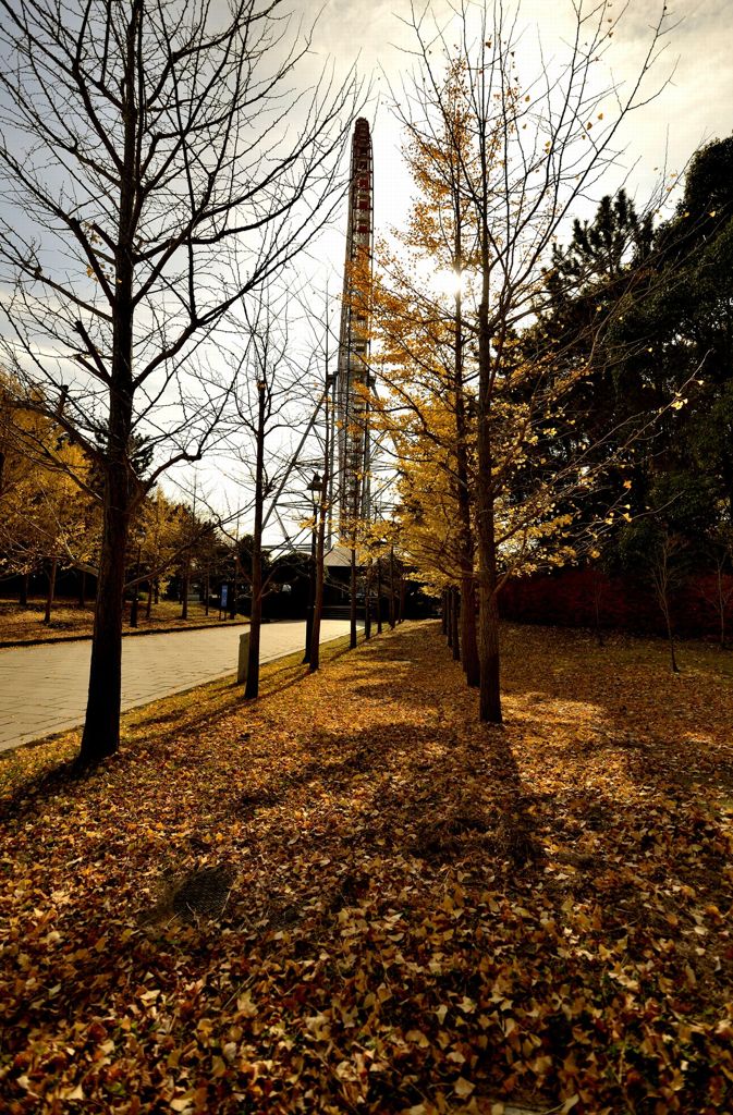 公園散歩1