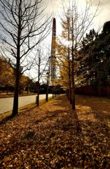 公園散歩1