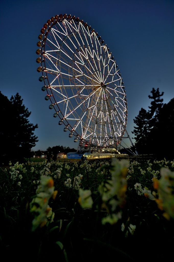 公園散歩6