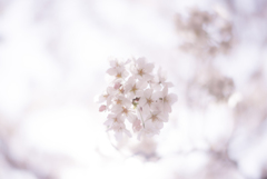 ふんわりゆるく