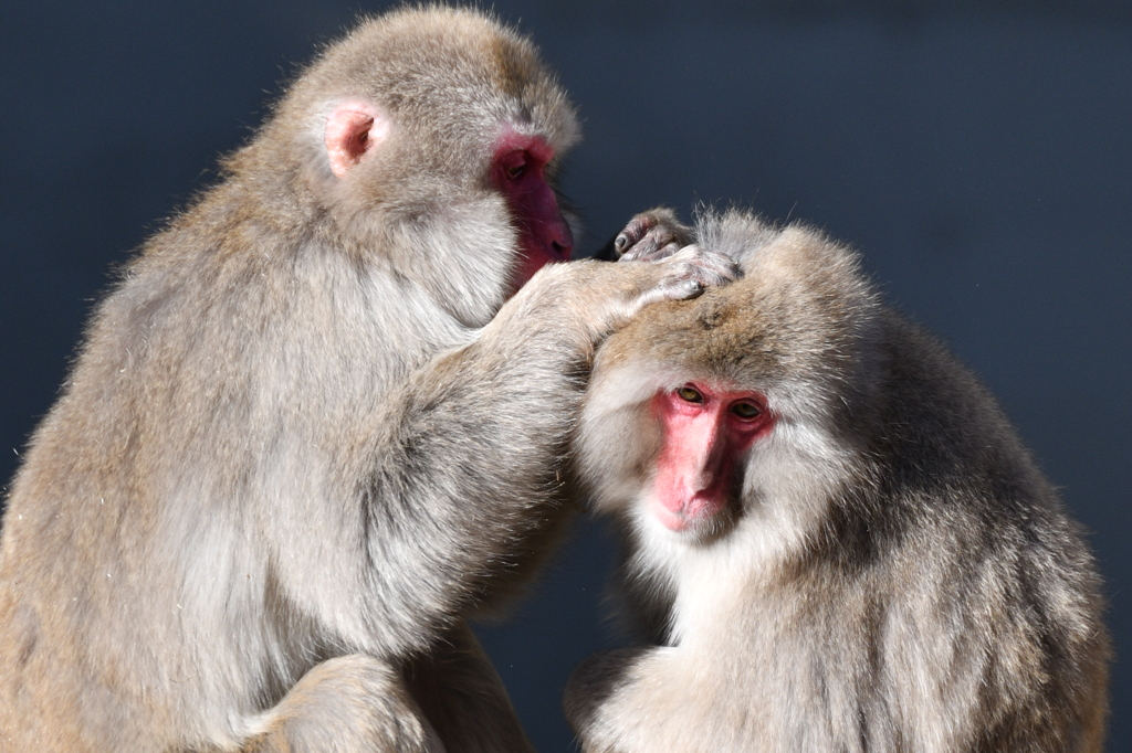 のんびりしましょ