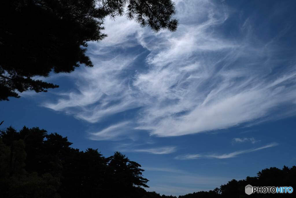 見上げれば秋