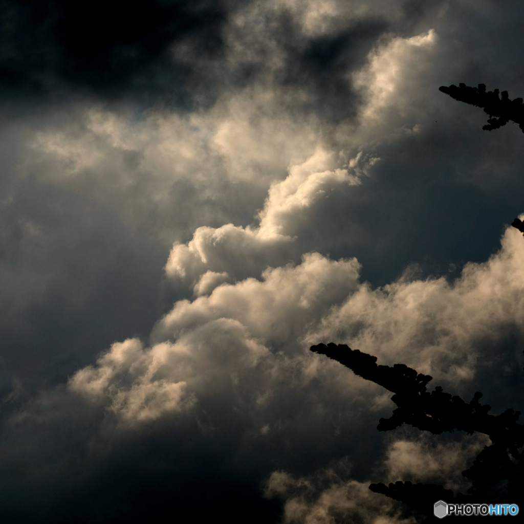 夏風邪をひくバカ