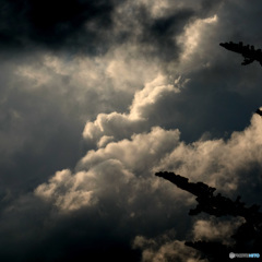 夏風邪をひくバカ