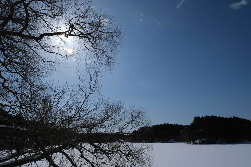 まだまだ冬(2)