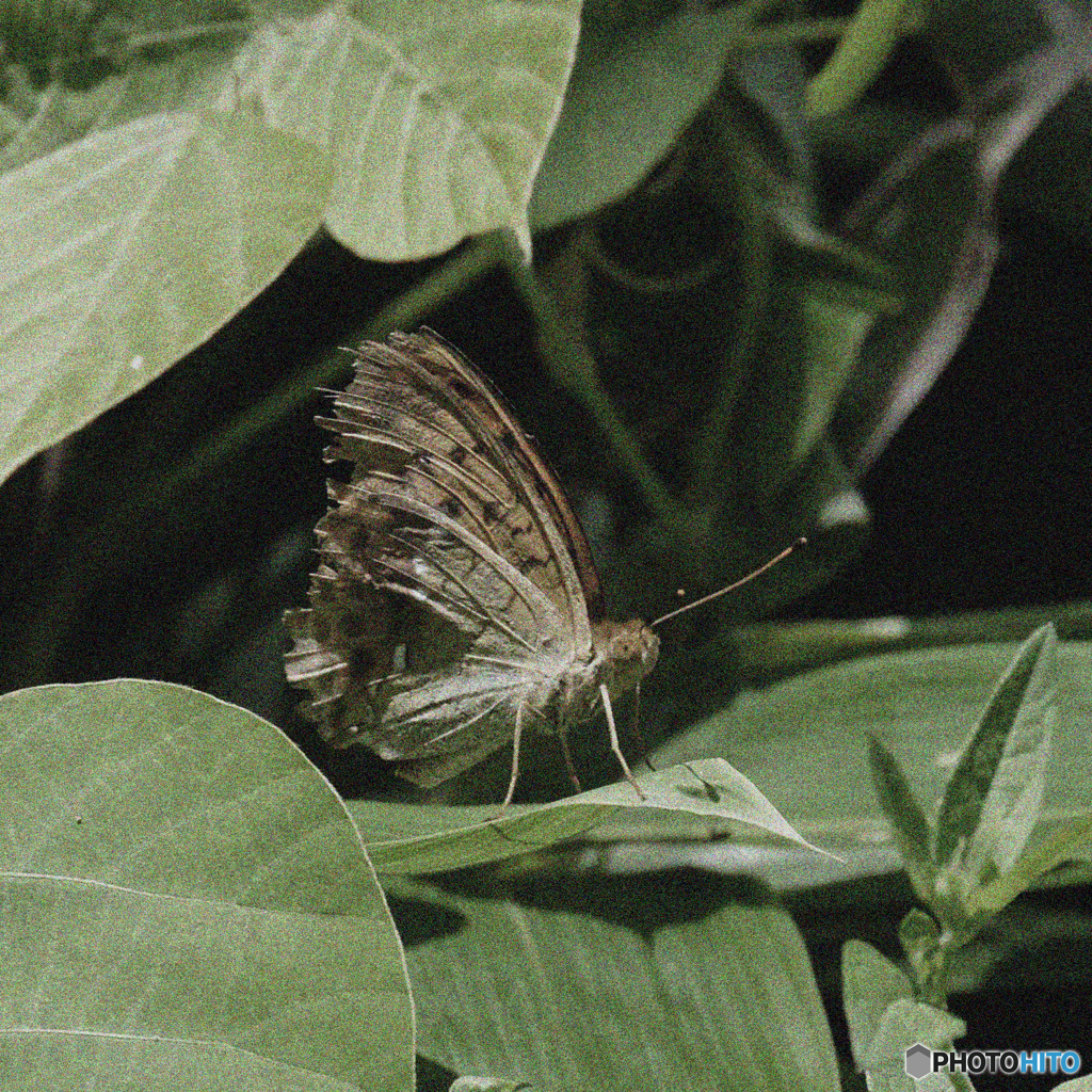 何かと、色々あるわ(-_-;