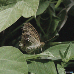 何かと、色々あるわ(-_-;