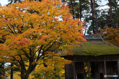 紅探し(1)
