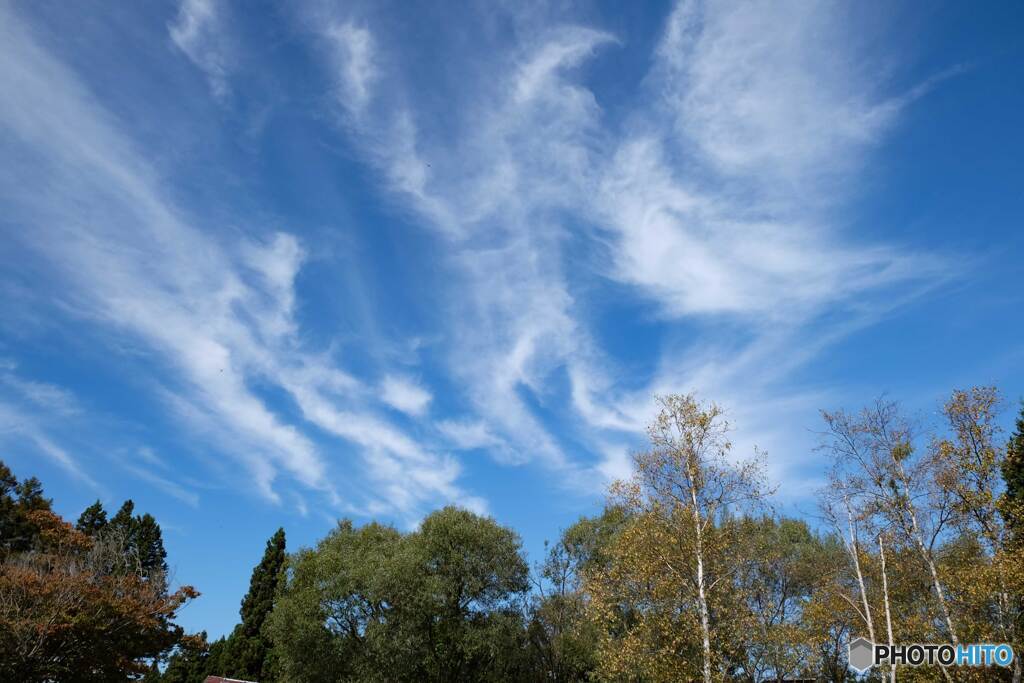 雲　踊る