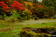 苔むす浄仙寺