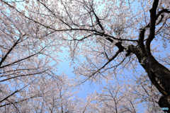 今だけしか撮れないから(4)