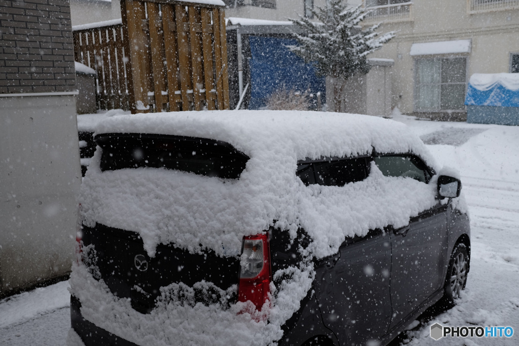 名残り雪にしては...(1)