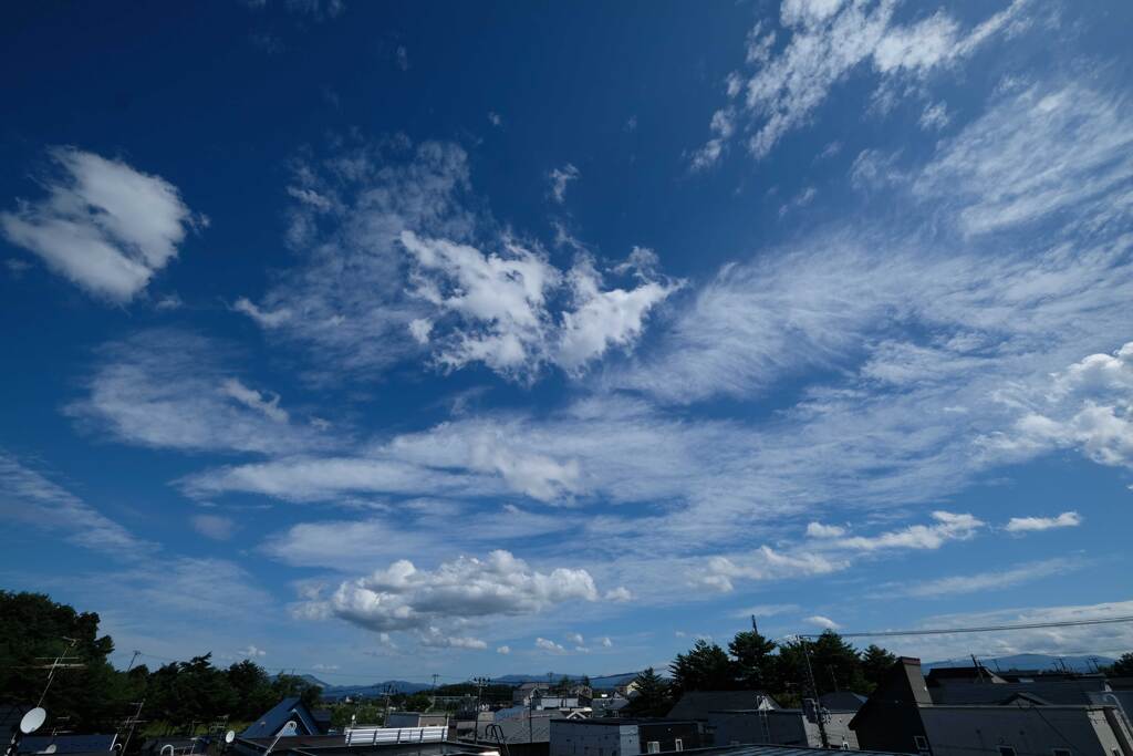 風が強くて