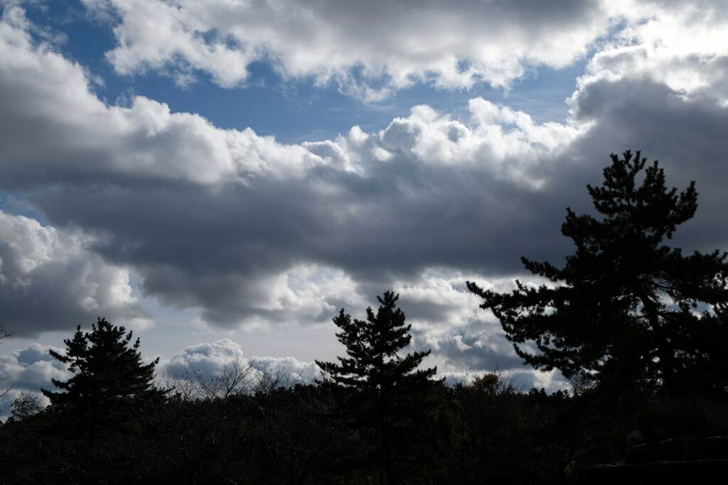 晩秋の空