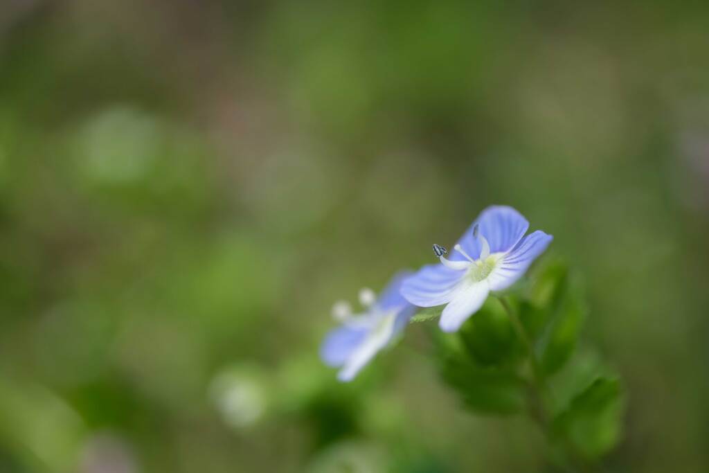 Twin...星の瞳(2)