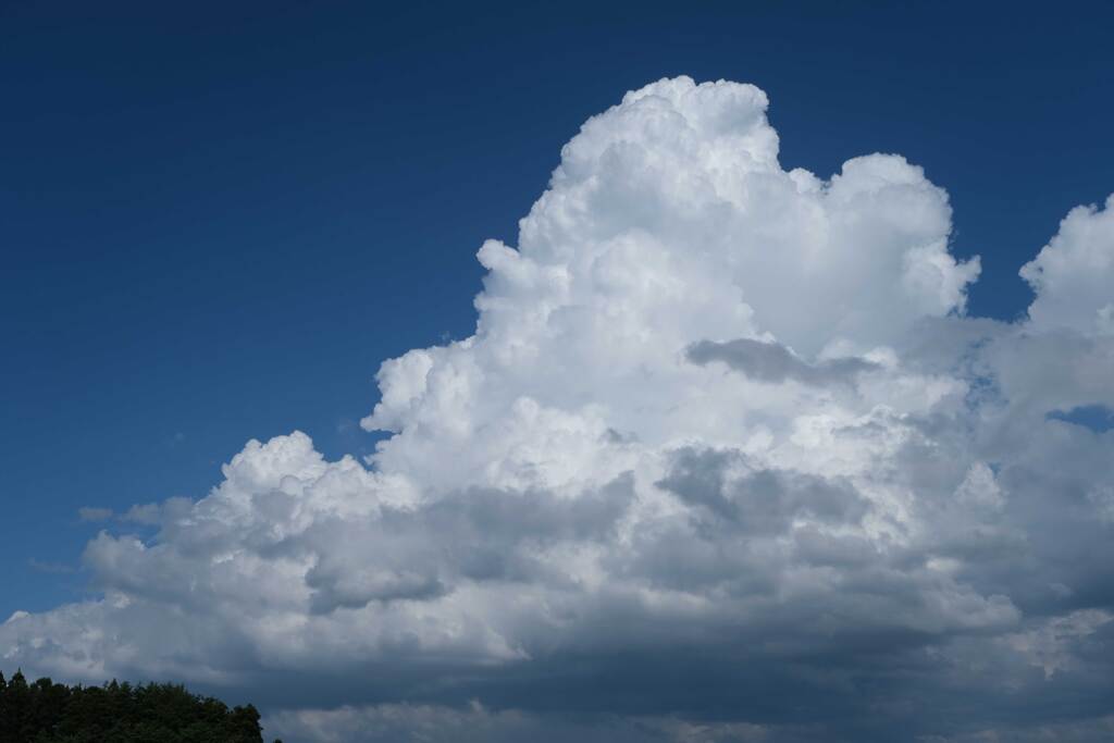 夏雲