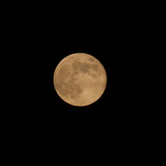 今夜のお月様