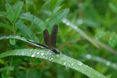 小雨決行