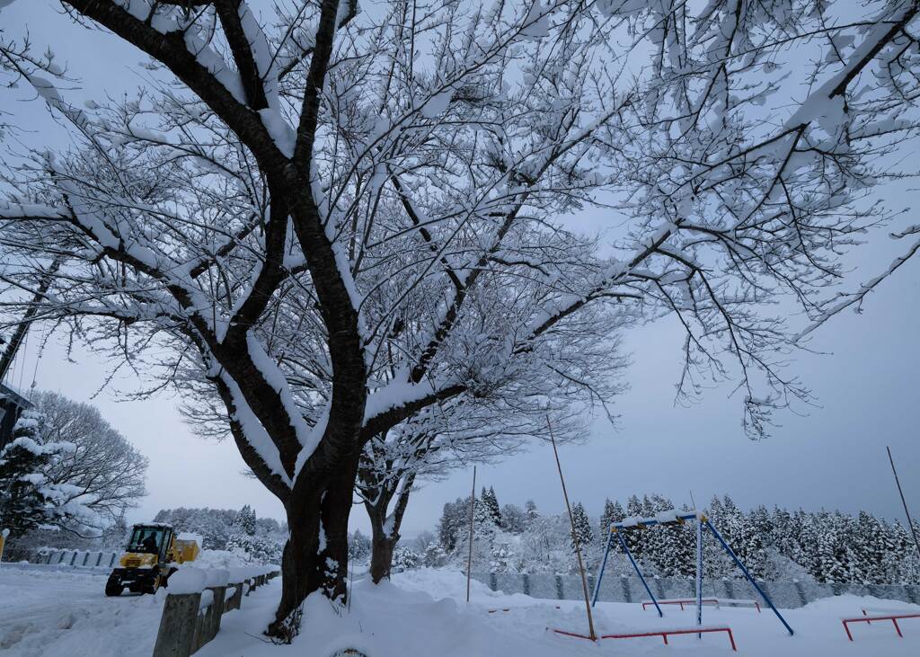 雪片づけの朝