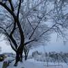 雪片づけの朝