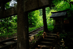 中野神社にて・・・本殿脇