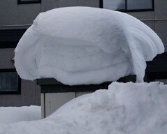 春の気配ってどこ？