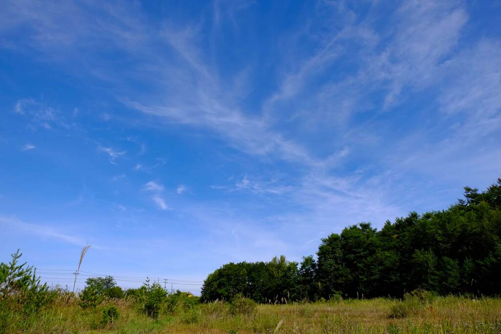 秋空