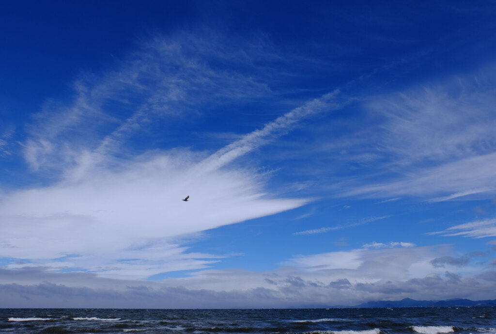 雲に誘われて