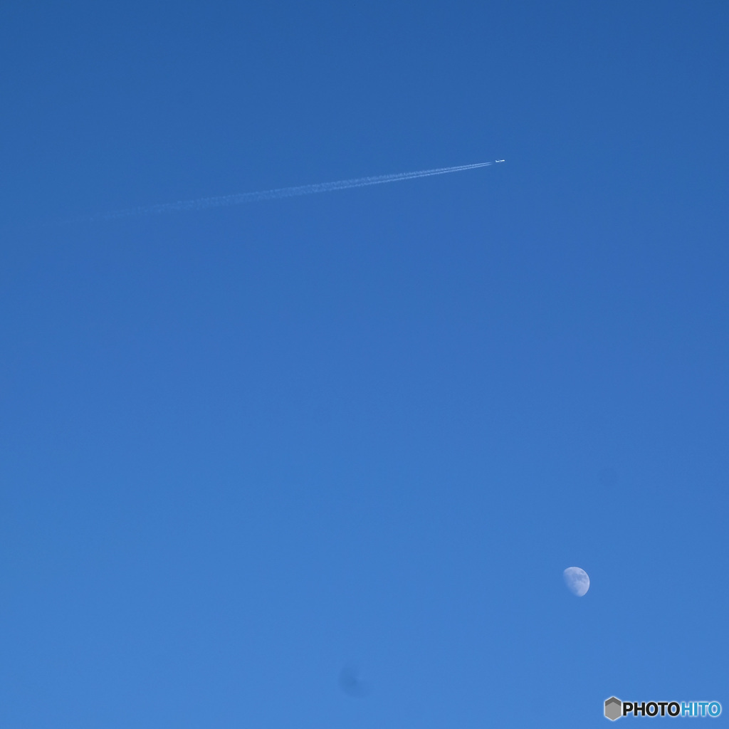 お昼の月に飛行機雲を添えて