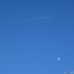 お昼の月に飛行機雲を添えて
