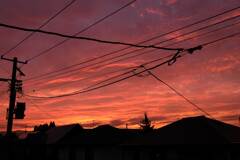 電線越しの夕焼け