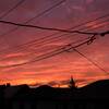 電線越しの夕焼け