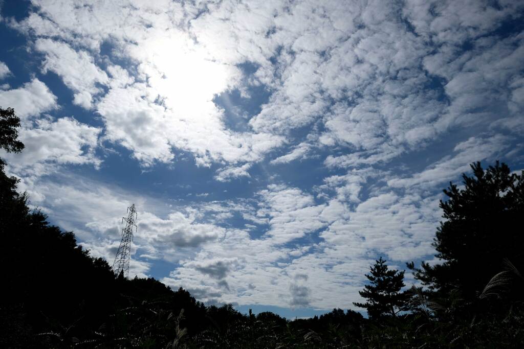 今日の空