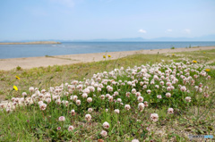 平日の海辺